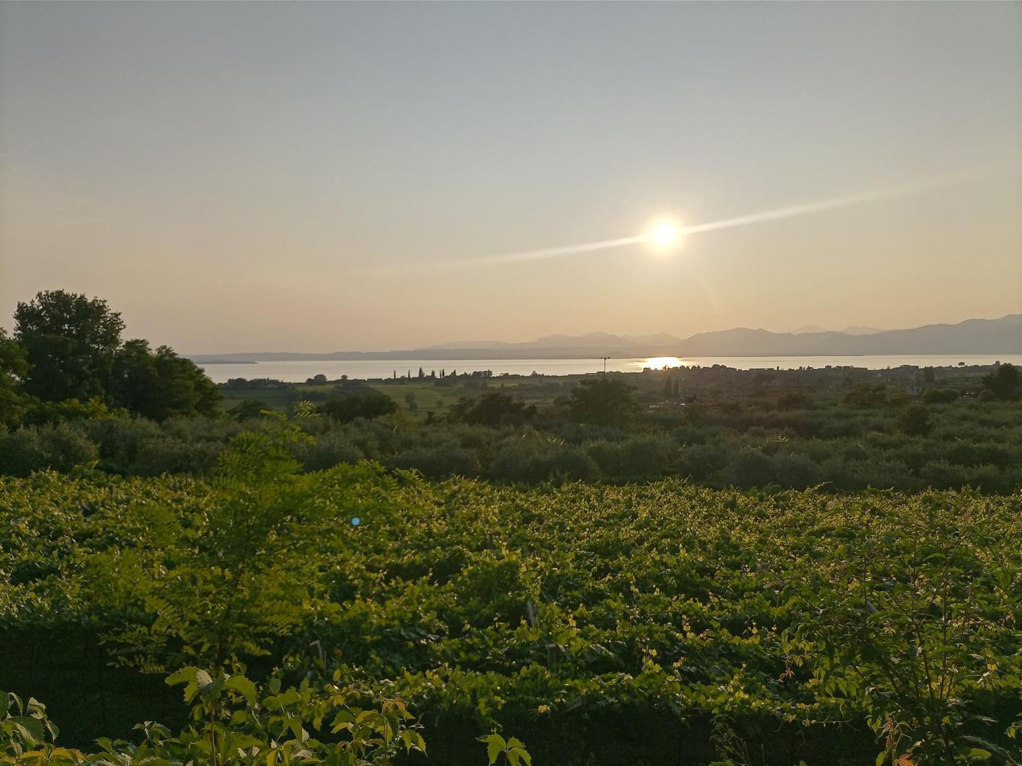 Bardolino Suite Екстериор снимка